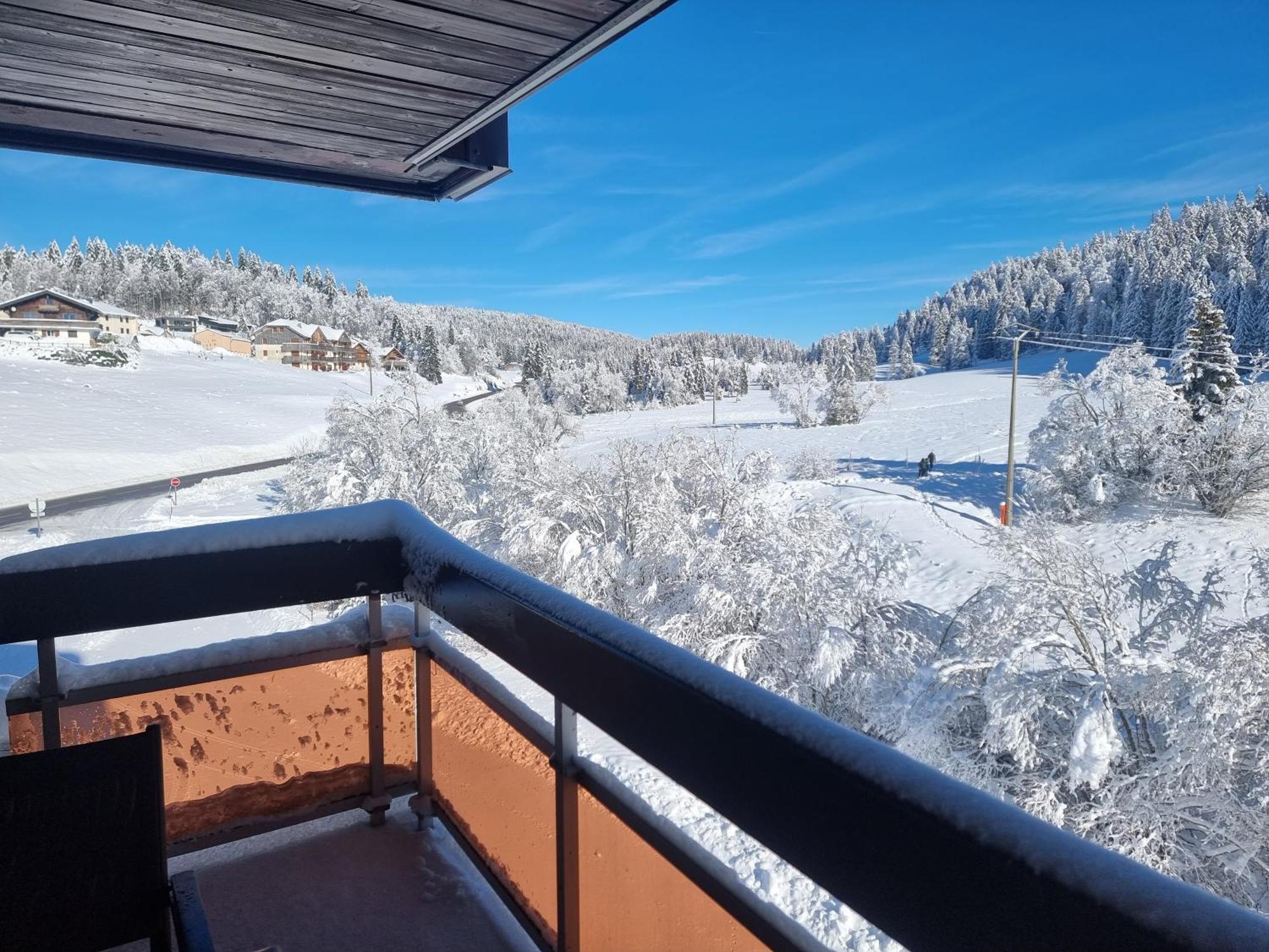 Confort Apartment